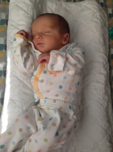 It's a lot of work being the center of attention! Back to sleep for this little guy.