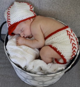 Baseball Fan