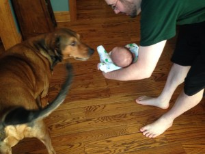 Meeting cousin Donkey, aka "Uncle Donkey".