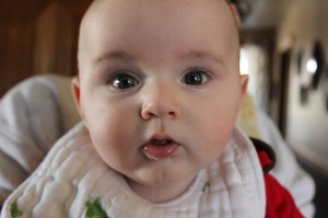 Drool! Always drooling.