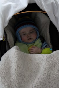 And love cuddling with my turtle Myrtle when I go for rides in the car.