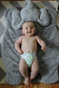 Had to show off the rolls!